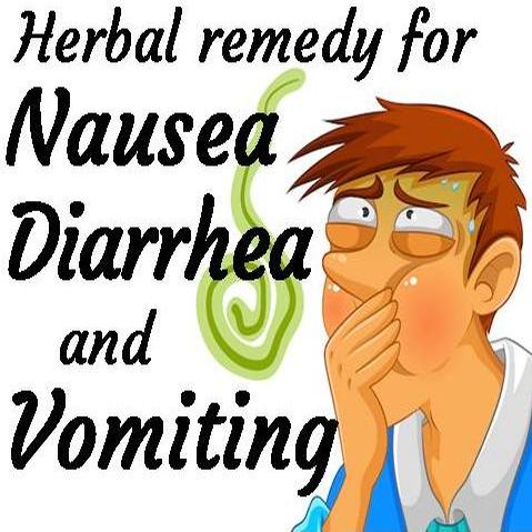 herbal remedy for nausea diarrhea and vomiting
