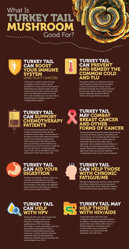 turkey tail mushroom infographic