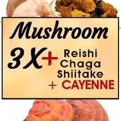 MUSHROOM 3X+ ~~ Reishi Chaga Shiitake Cayenne (28ml) Tincture