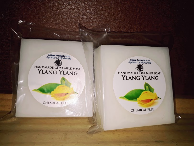 Jabones de leche de cabra Ylang Ylang