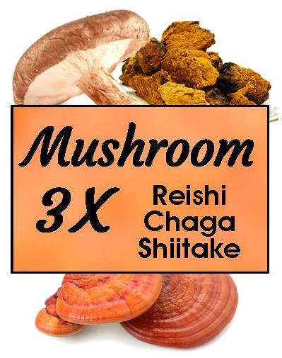 MUSHROOM 3X ~~ Reishi Chaga Shiitake (28ml) Tincture