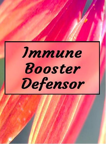 IMMUNE BOOSTER Defensor Tincture (Immune Stimulating formula for when you are getting sick and need immediate immune response. For Adults & Kids) (65 ml refill) Tincture