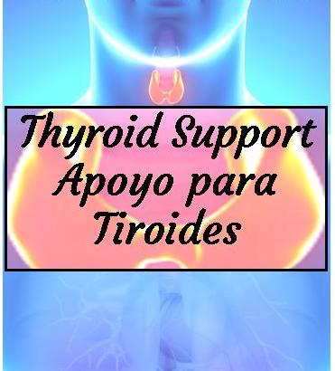 THYROID SUPPORT Tincture (naturally support & stimulate production of thyroid hormones) (28ml)