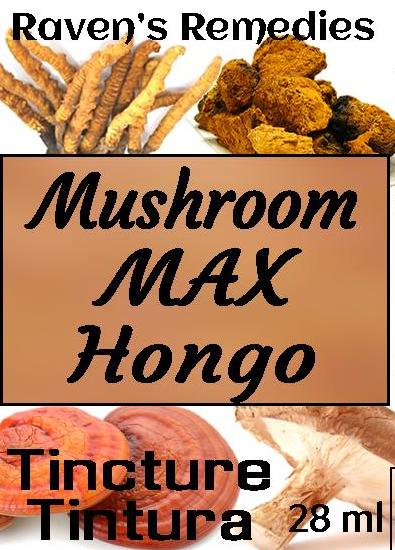 mushroom max hongos