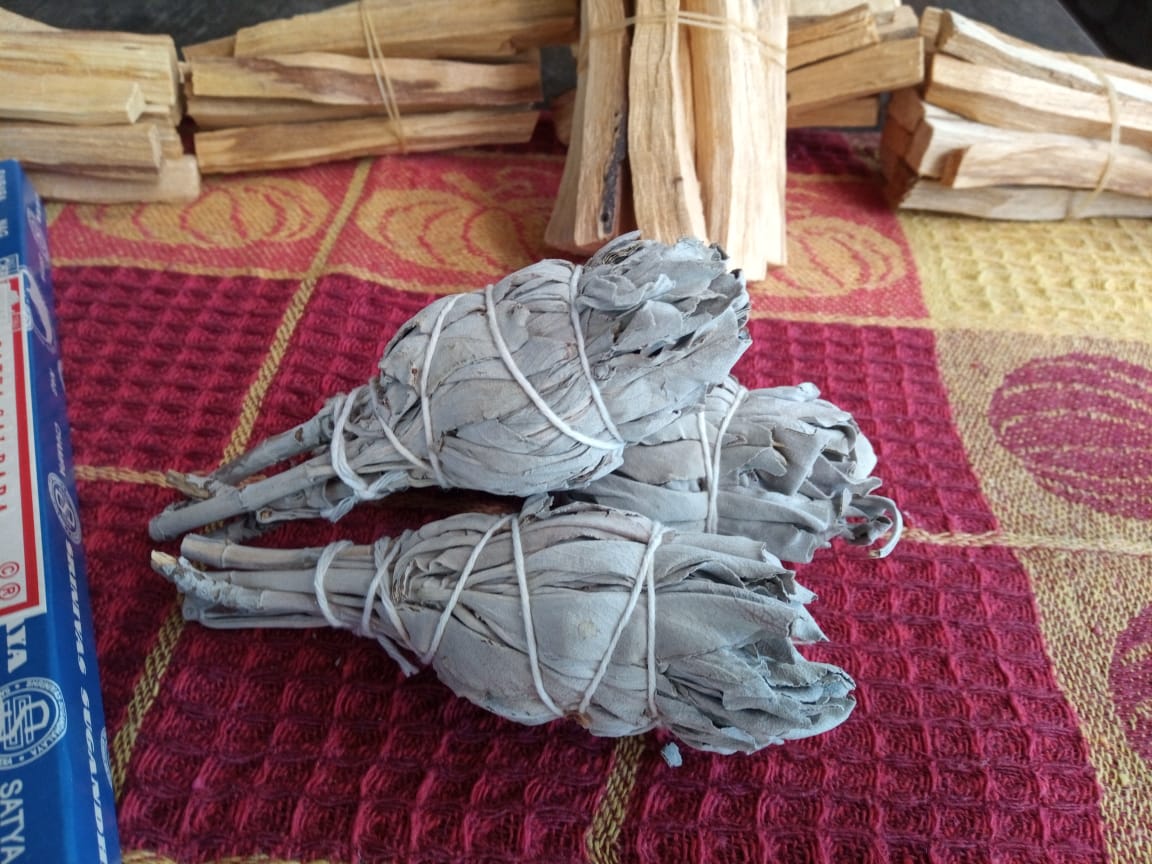 White sage for smudging