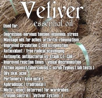 vetiver essential oil