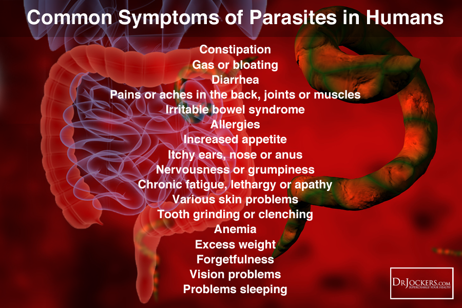 parasite symptoms