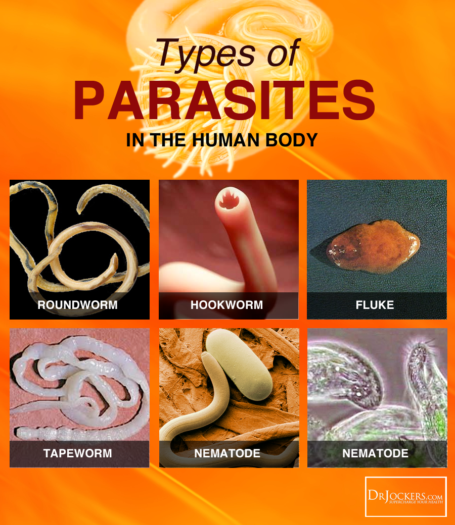 common parasites