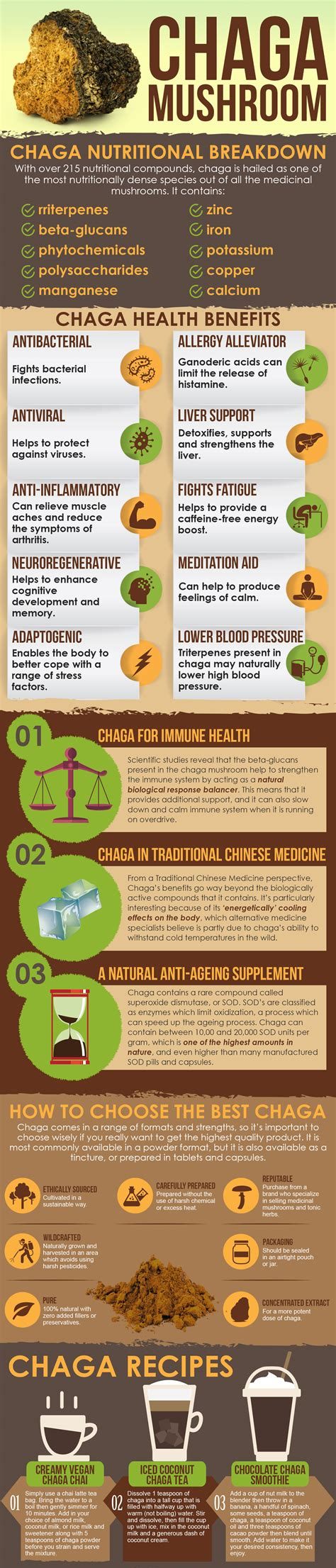 chaga infographic