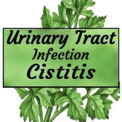 URINARY TRACT INFECTION Tincture (Antiseptic formula for mild bladder infections. Can be taken long term for prevention)