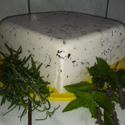 Queso con Albahaca. ( Cheese with Basil)