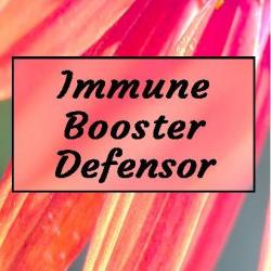 IMMUNE BOOSTER Defensor Tincture (Immune Stimulating formula for when you are getting sick and need immediate immune response. For Adults & Kids) (65 ml refill) Tincture