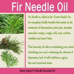 fir needle