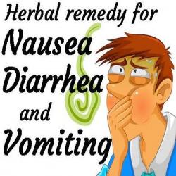 Herbal Remedy for Stomach Problems
