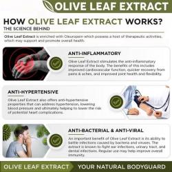 olive leaf tincture